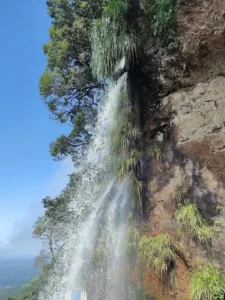 unnamed - 2025-09-22T123647.290