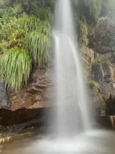 unnamed - 2025-09-22T123656.626